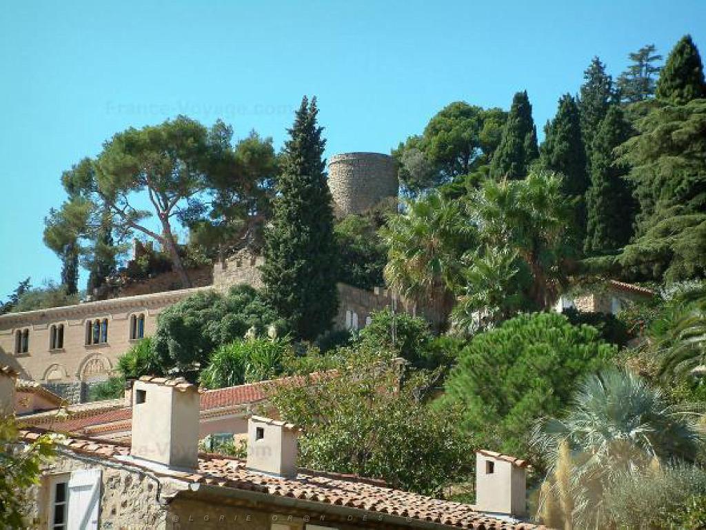 183 HYERES ET SES PALMIERS D02_000049.jpg